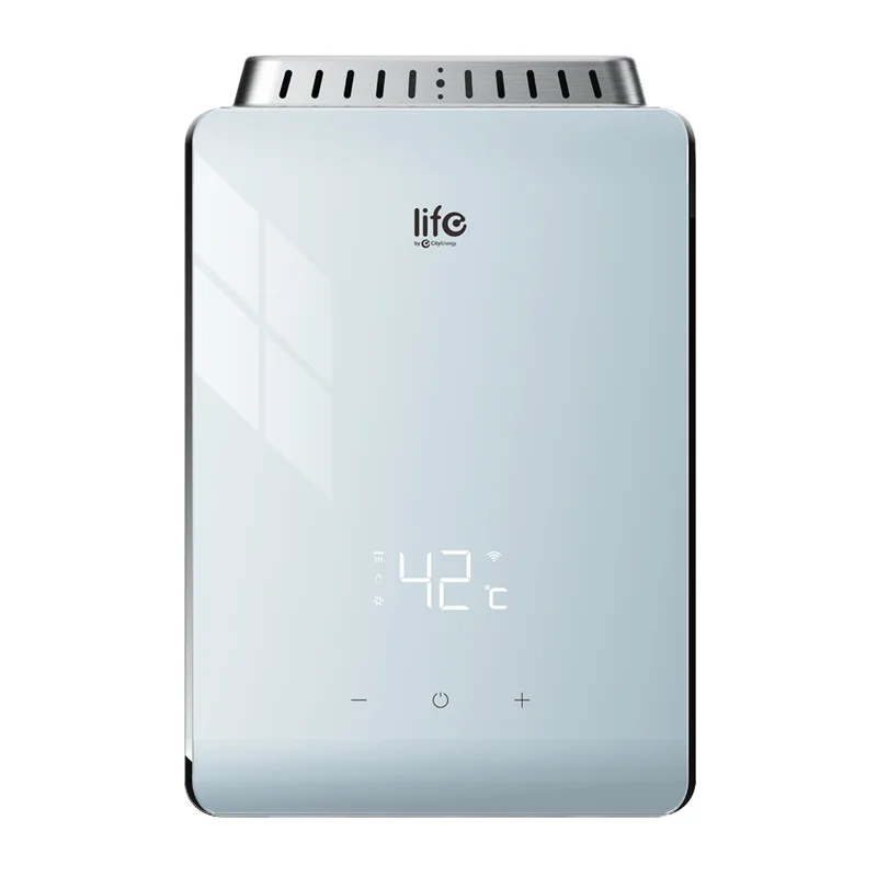 Life Smart Gas Water Heater