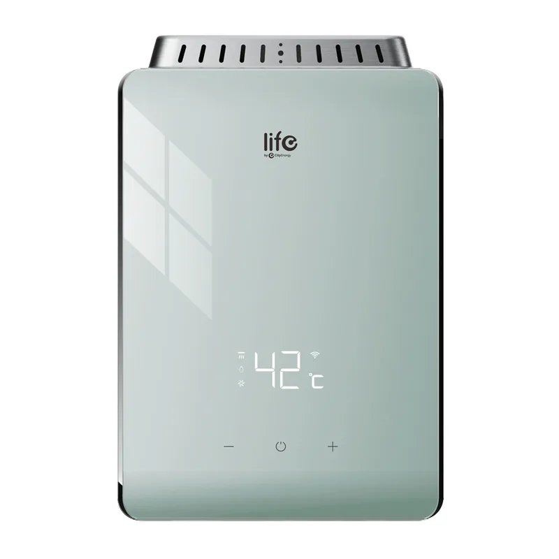 Life Smart Gas Water Heater
