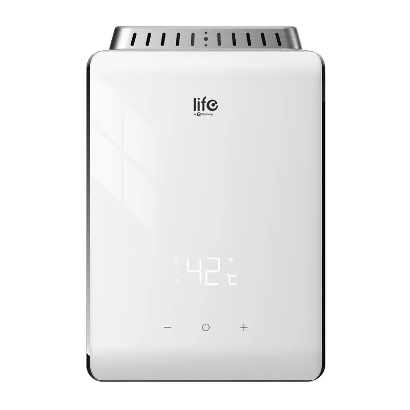 Life Smart Gas Water Heater