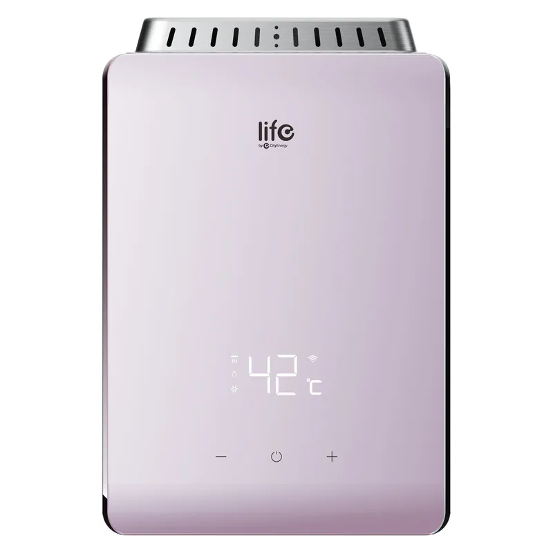 Life Smart Gas Water Heater