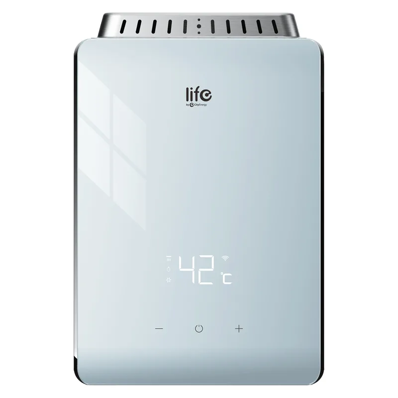 Life Smart Gas Water Heater