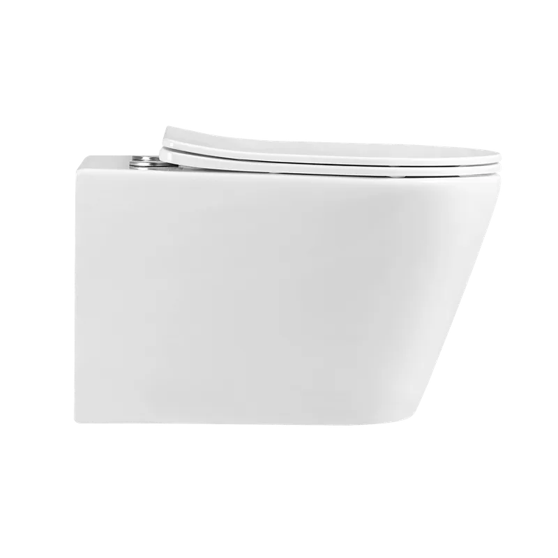 PF-306P07 + Concealed Flushing System