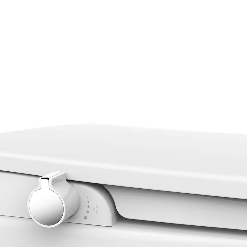SCPP-PF306-BIDET