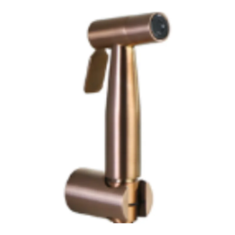 Vera VA.2012J-C Bidet Spray Gun Set (1.2m PVC Hose, Brass Spray Gun, Holder Only) (Chrome)