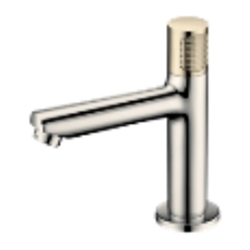 Vera Duomo Single Lever Basin Cold Tap (Short) (FB.8100BNG)