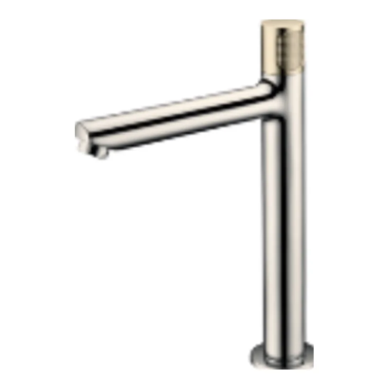 Vera Duomo Single Lever Basin Cold Tap (Tall) (FB.8102BNG)