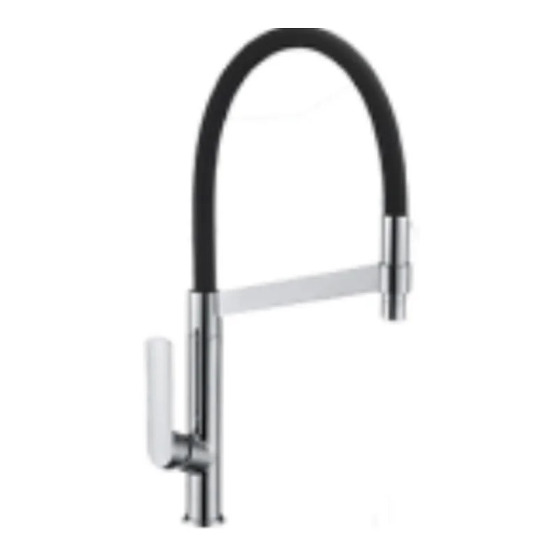 Vera Multi-Function Kitchen Tap (Cold TAP) (FB-101(BN))