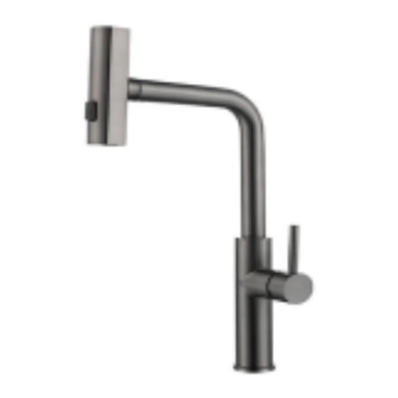 Vera Multi-Function Kitchen Tap (Cold TAP) (ST.2308GM)