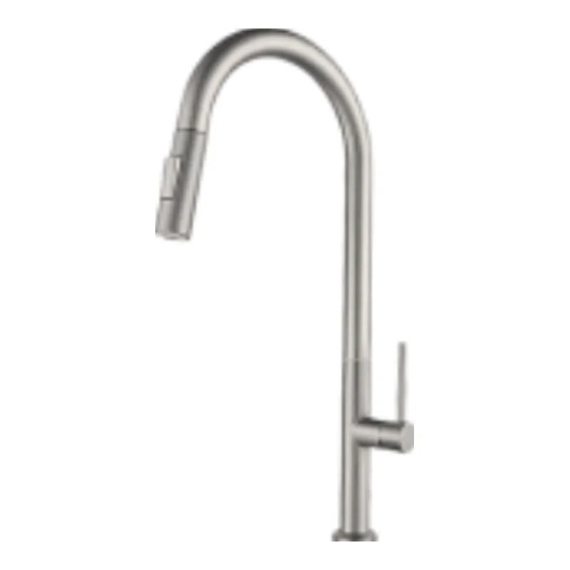 Vera Multi-Function Kitchen Tap (Cold TAP) (ST.2309BN)