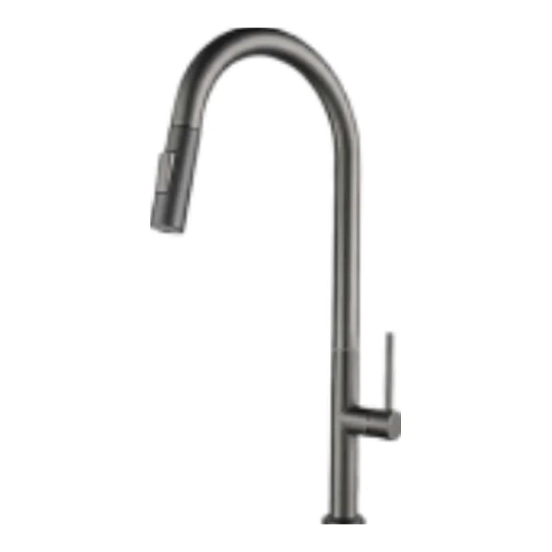Vera Multi-Function Kitchen Tap (Cold TAP) (ST.2309GM)