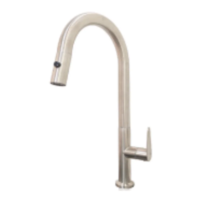 Vera Multi-Function Kitchen Tap (Cold TAP) (ST.2310BN)