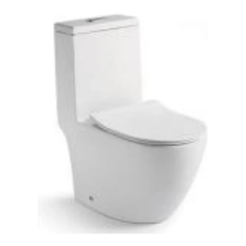 Vera Cinque A.032T One-Piece Toilet