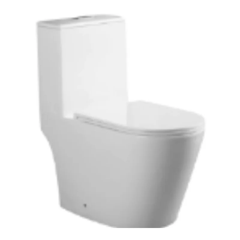 Vera Etna A.032R One-Piece Toilet