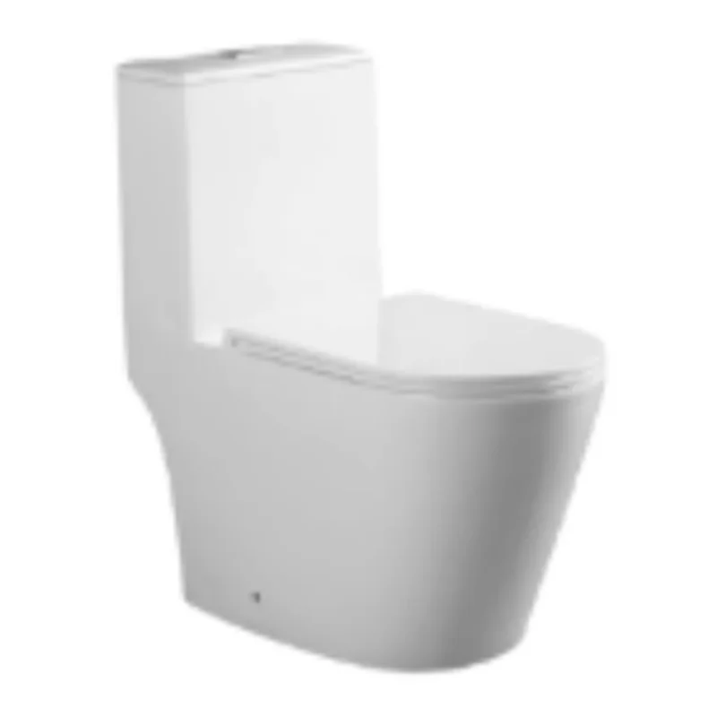 Vera Etna A.032R One-Piece Toilet