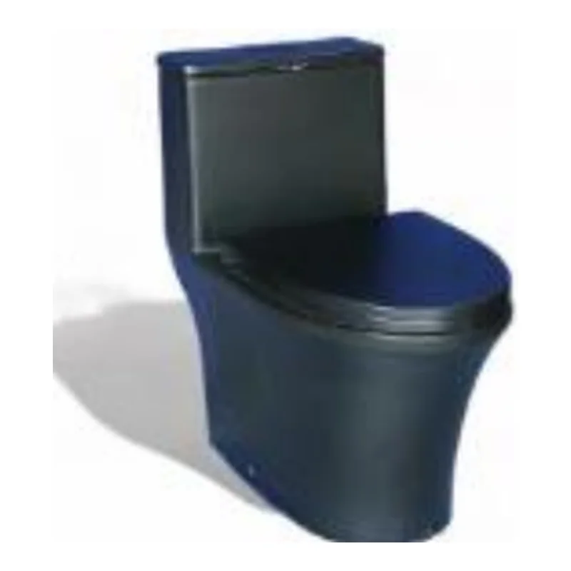 Vera Tere A.038T One-Piece Toilet